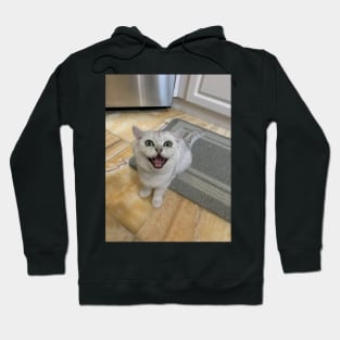 Scream cat Hoodie